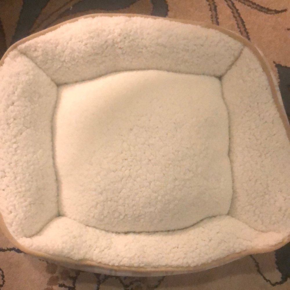 Brand new pet bed